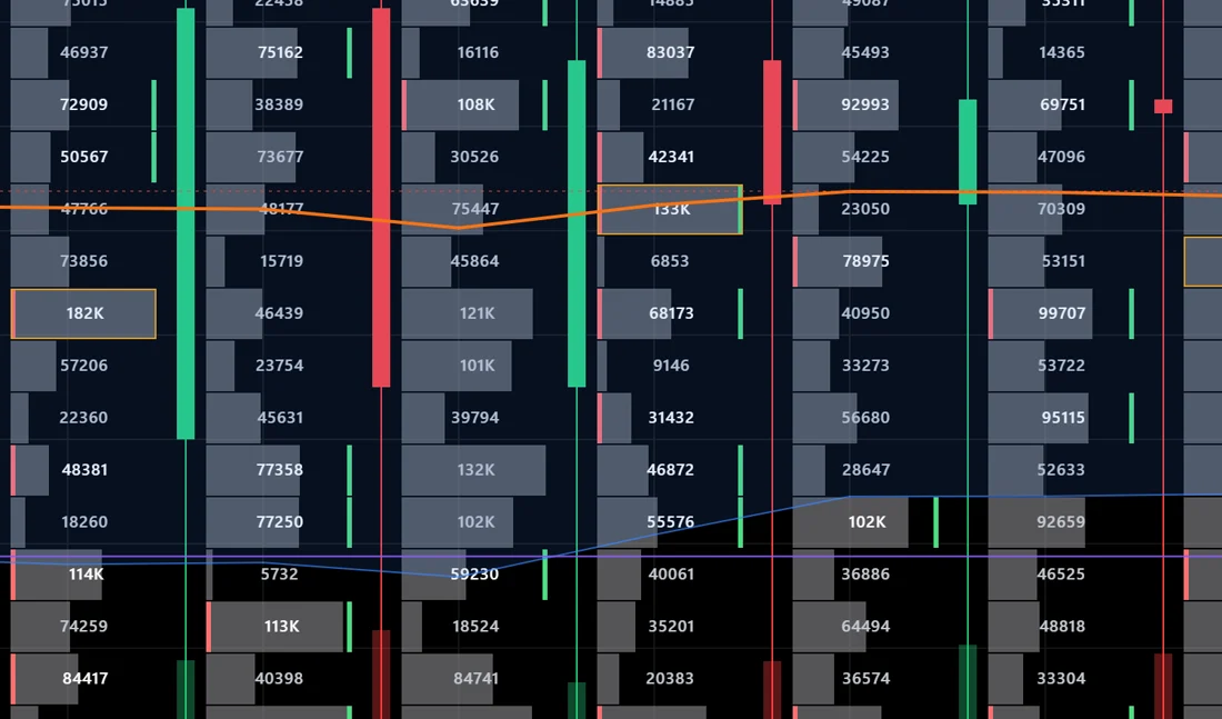 Dettaglio del footprint: volume per prezzo dentro ogni candela